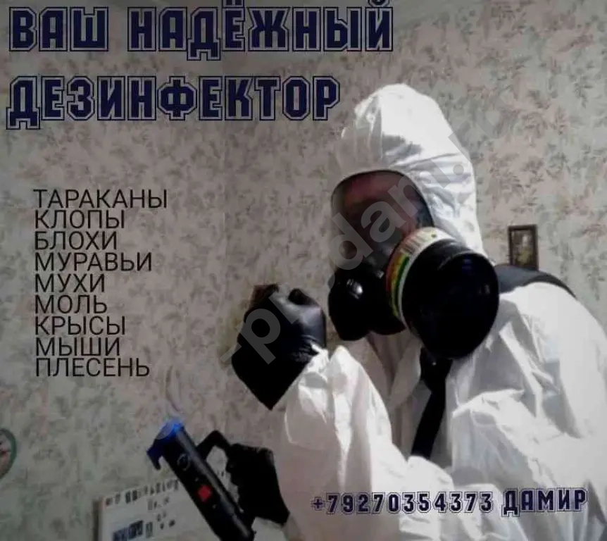 Уничтожение насекомых и грызунов с гарантией