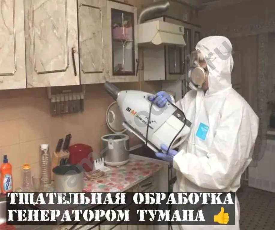 Уничтожение насекомых и грызунов с гарантией