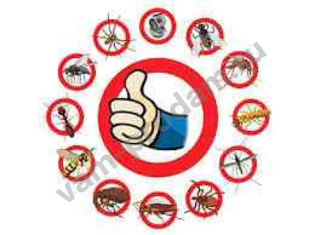 Уничтожение насекомых и грызунов с гарантией