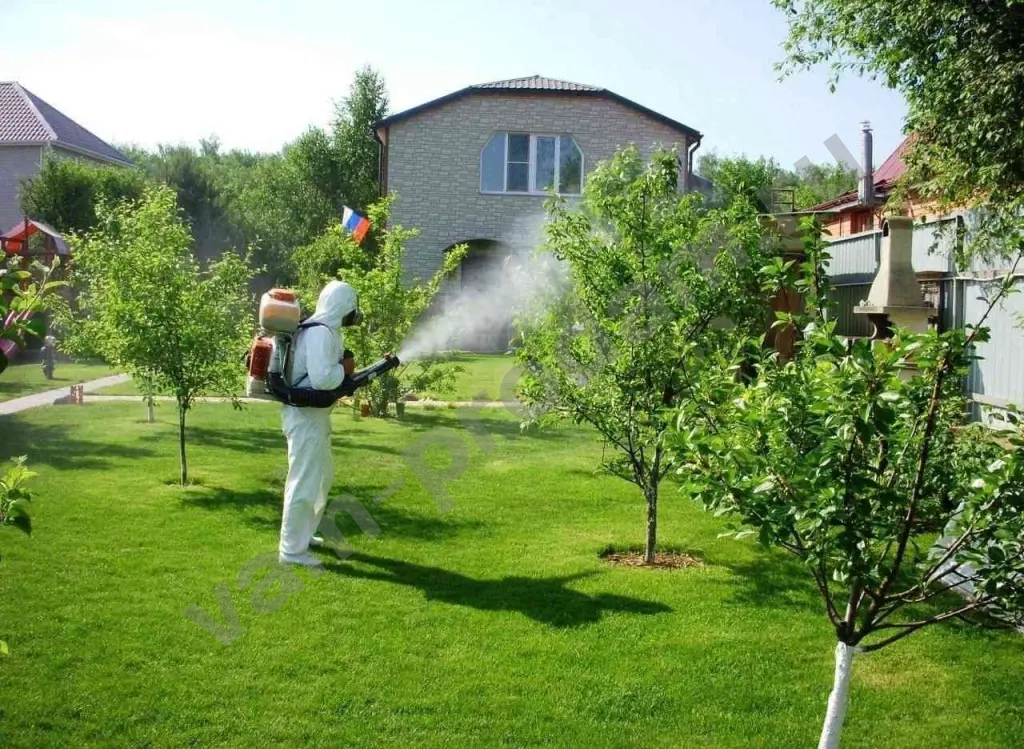 Уничтожение насекомых и грызунов с гарантией
