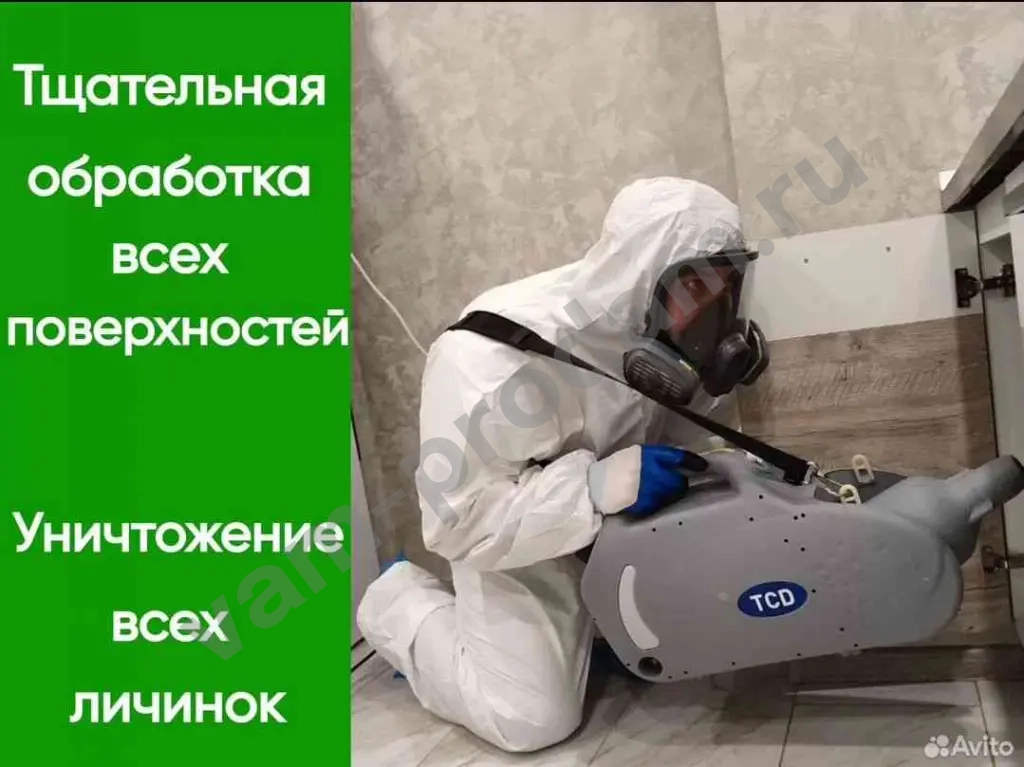 Уничтожение насекомых и грызунов с гарантией