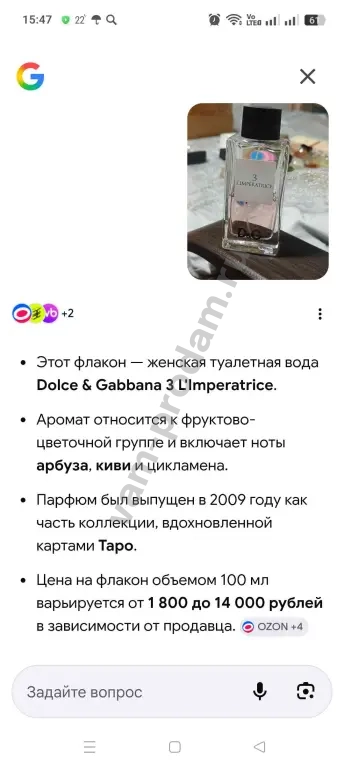 Dolce Gabbana