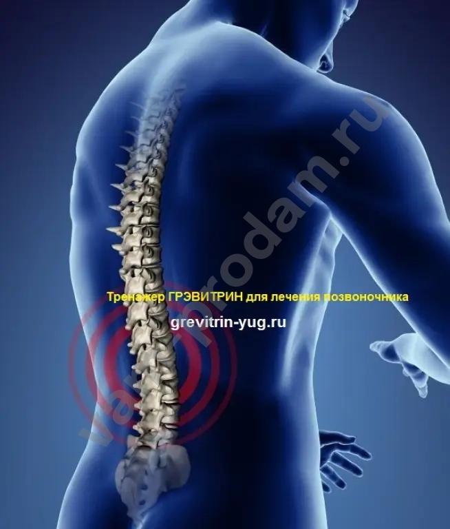 Тракция позвоночника на тренажере "Грэвитрин" дома
