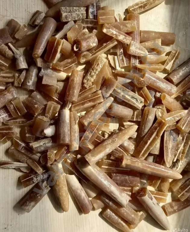 Белемнитов порошок.