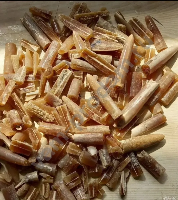 Белемнитов порошок.