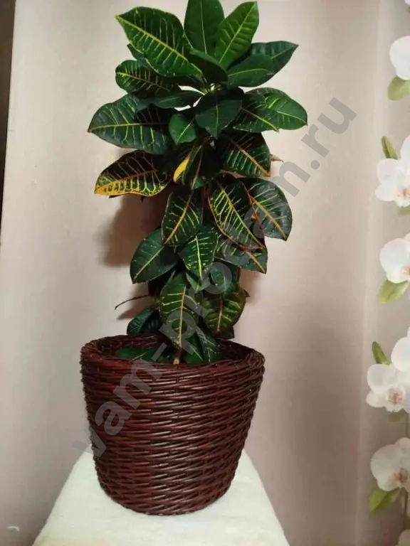 Кашпо handmade из ротанга