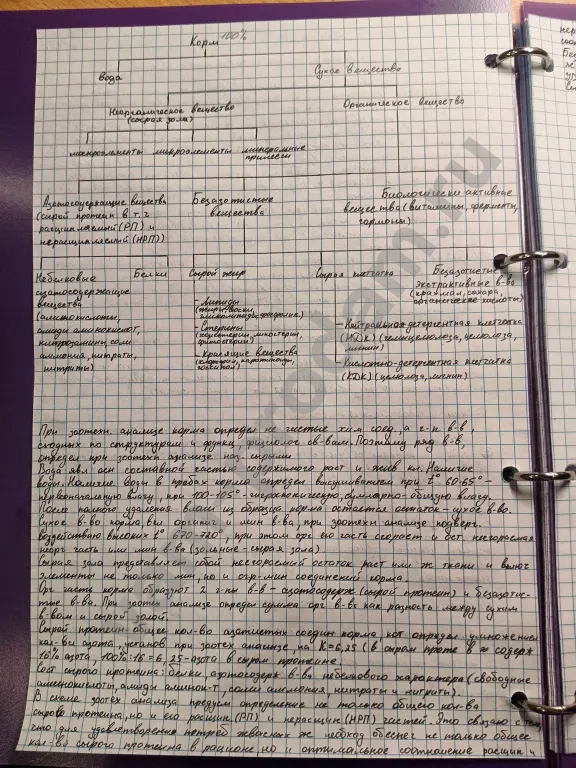 Написание конспектов и создание презентации