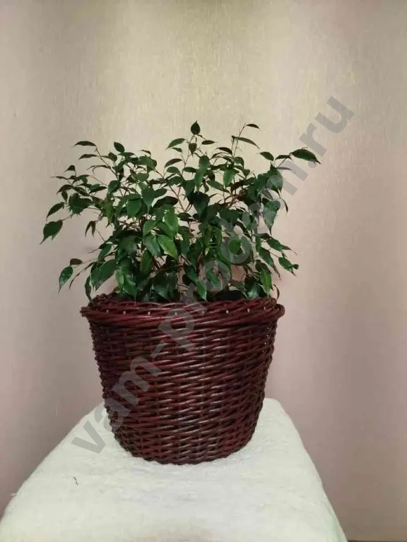 Кашпо handmade из ротанга