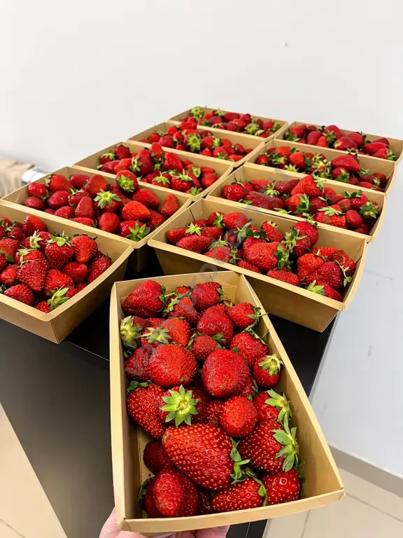 Клубника из Киргизии