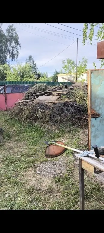 Дрова бесплатно