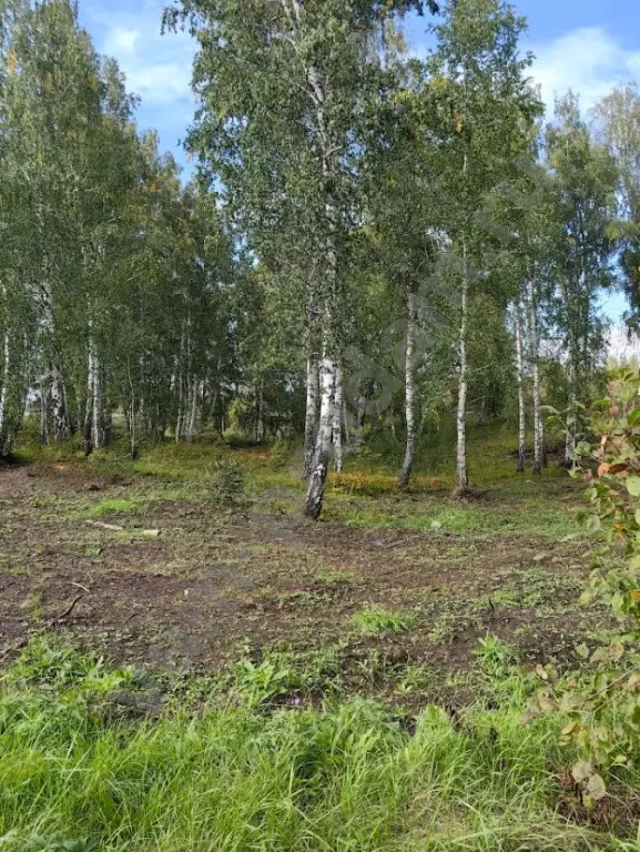 Производство, 11000 м², Собственник