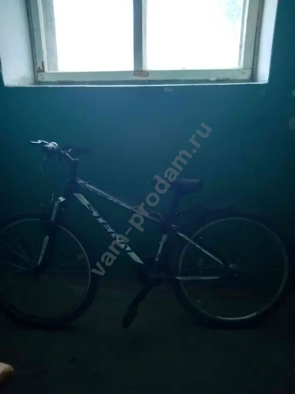горняй