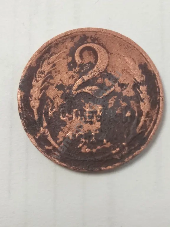 Две копейки 1924года гурт гладкий