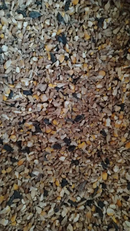 корма для сельхоз животных