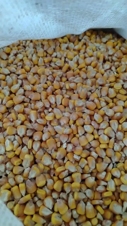 корма для сельхоз животных