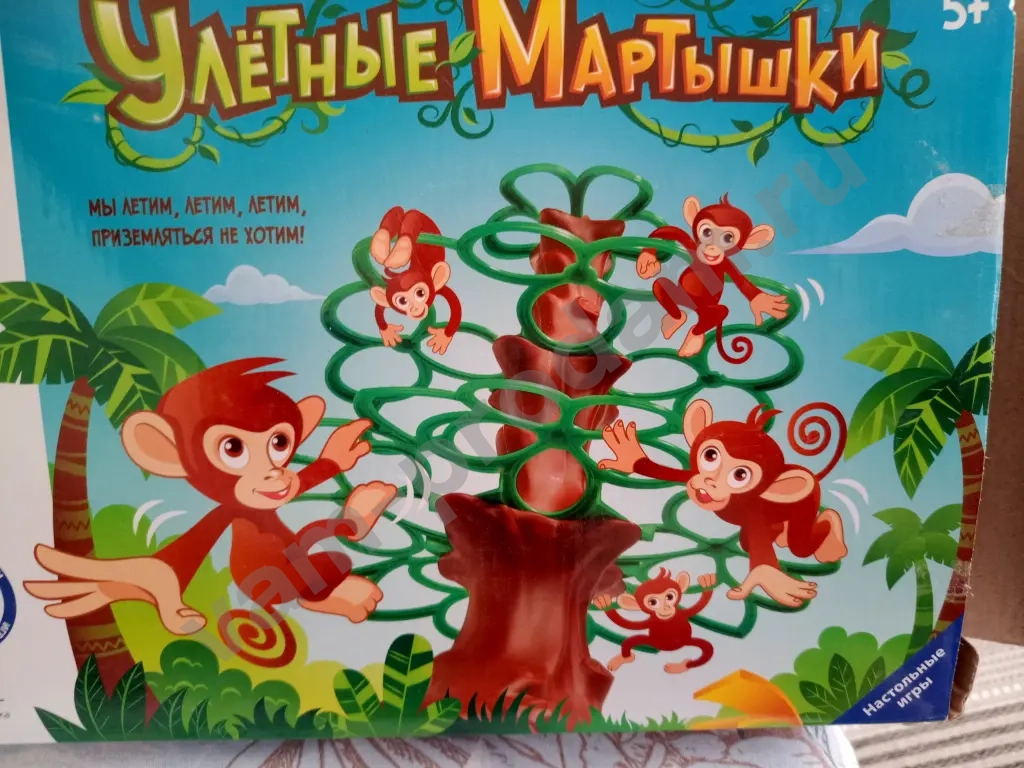 Улетные Мартышки