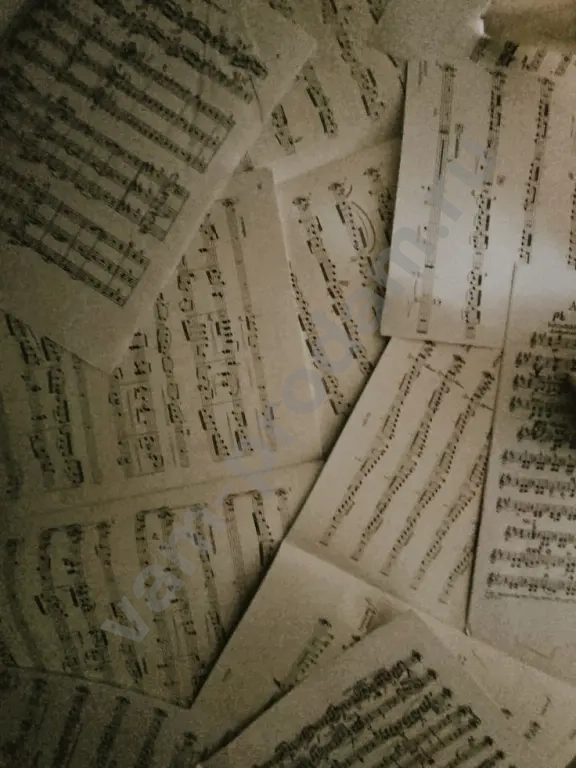 Репетитор по сольфеджио