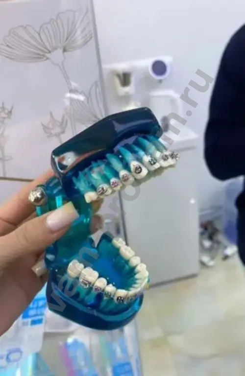 Стоматологические туры в Маньчжурию