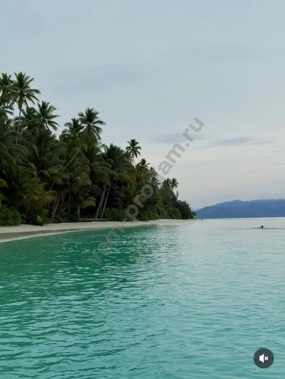 Ищу партнёра по бизнесу с любым капиталом