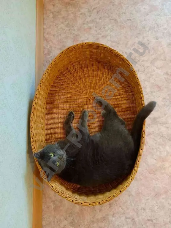 Лежанка плетёная