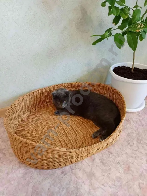 Лежанка плетёная