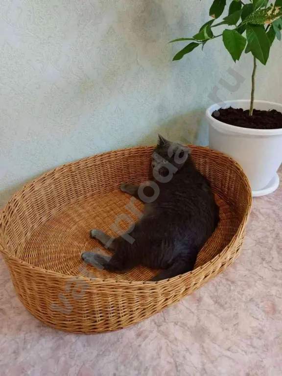 Лежанка плетёная