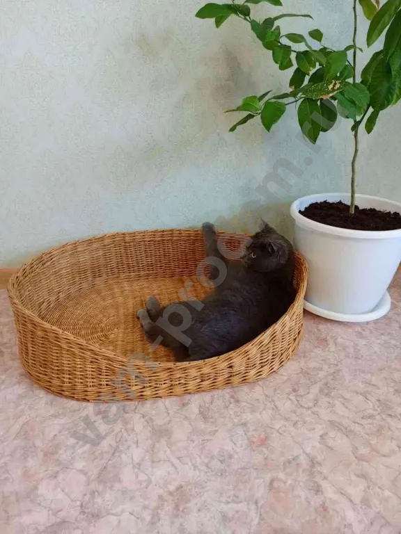 Лежанка плетёная