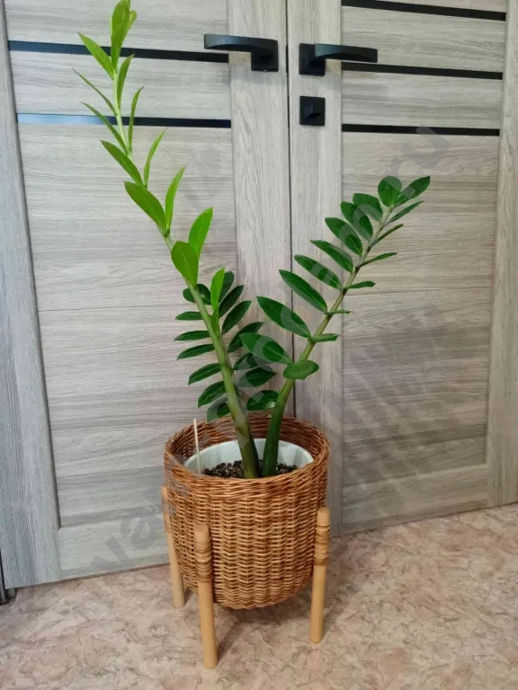 Кашпо плетёное