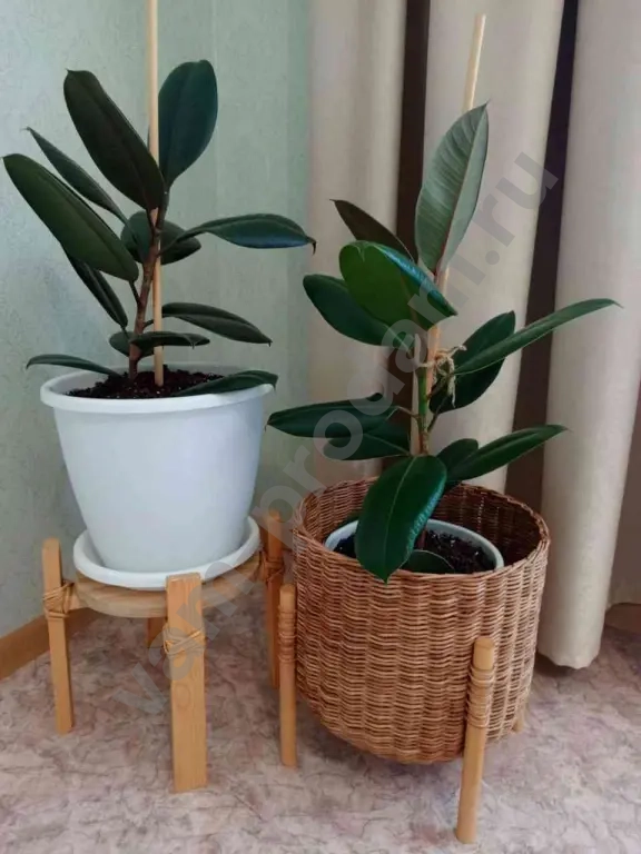 Кашпо плетёное