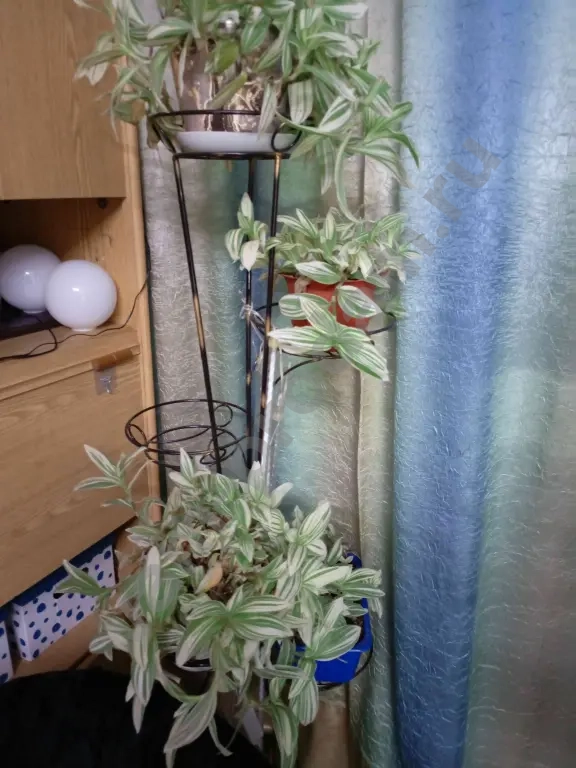 стойка под цветы