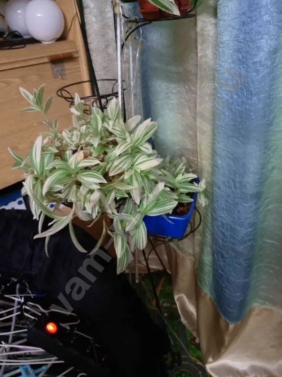 стойка под цветы