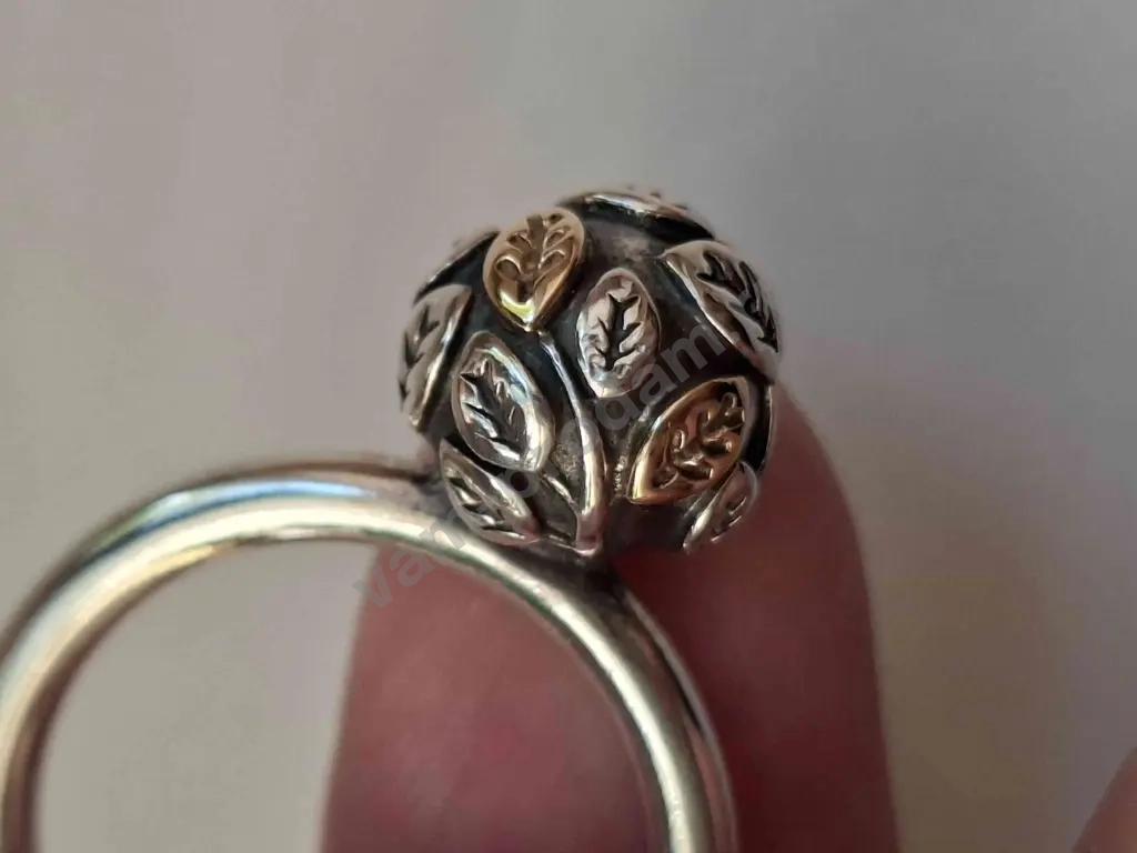 Pandora