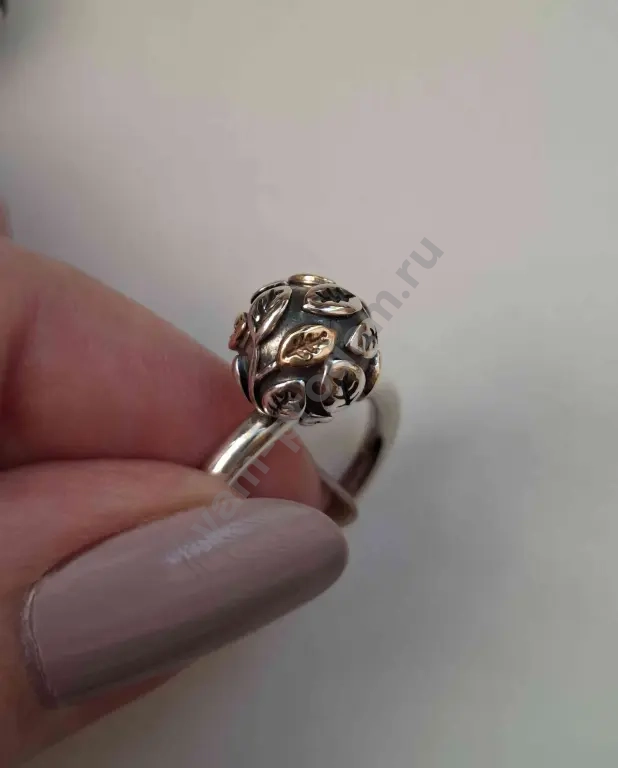 Pandora