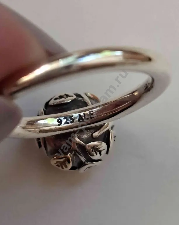Pandora
