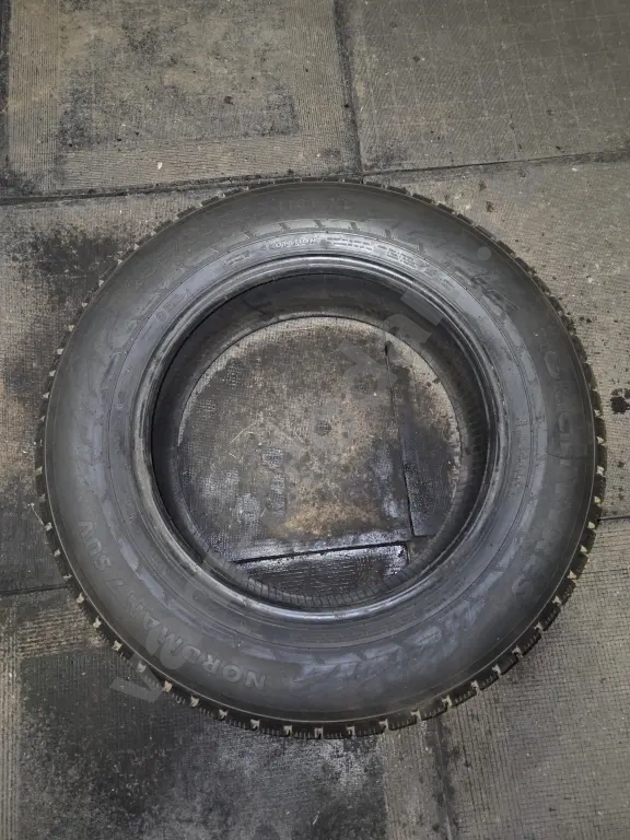 шины нокиан