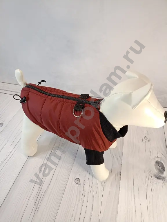 Одежда для собак