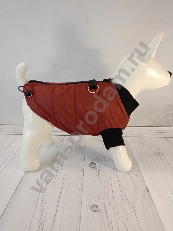 Одежда для собак