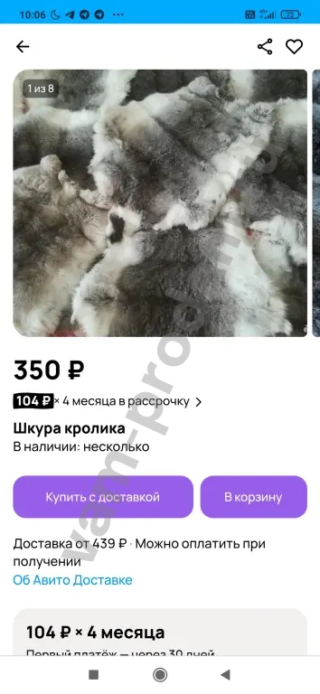 шкурки кролика 340