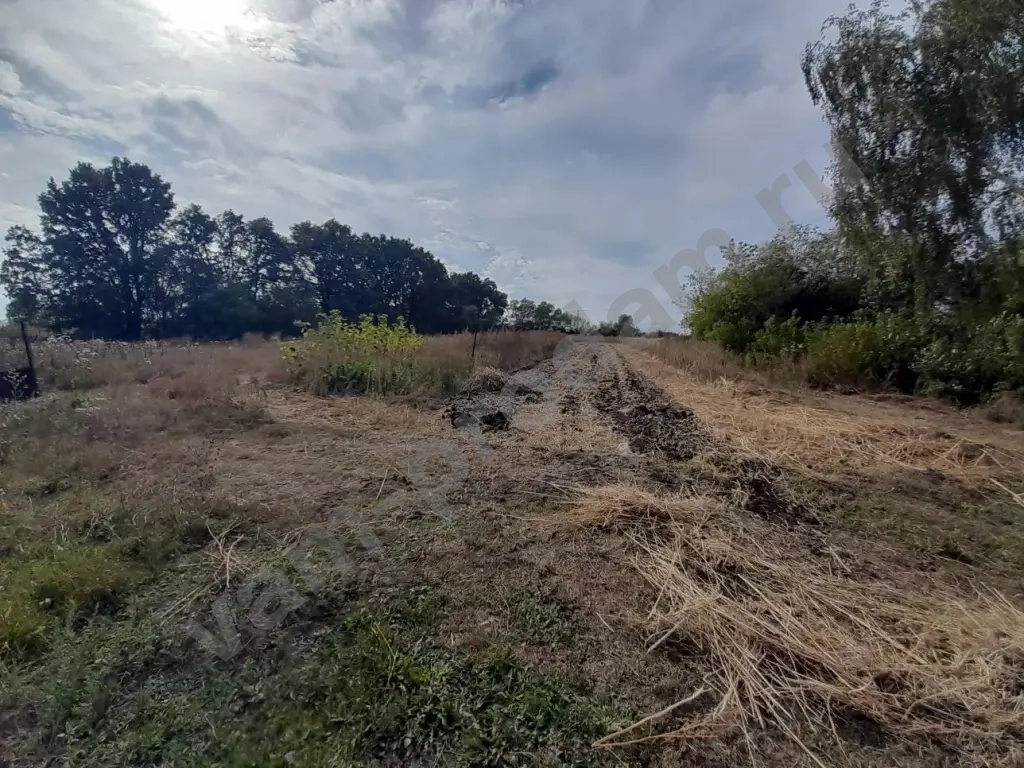 Дом 54.7 м² на участке 70 сот., Поселений (ИЖС)