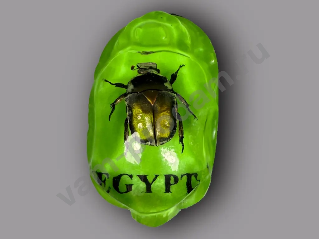 Сувенир скарабей