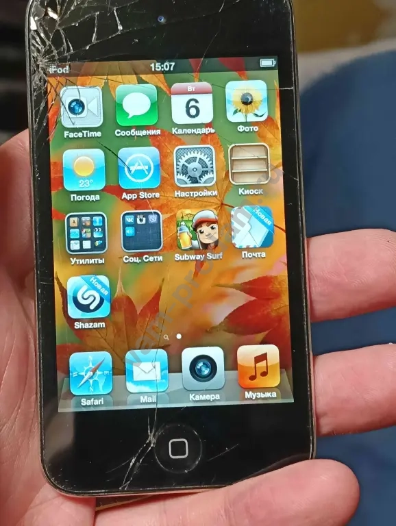 Apple Ipod