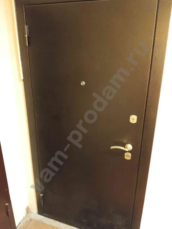 Дверь входная металлическая