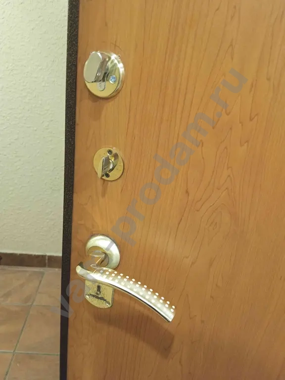 Дверь входная металлическая