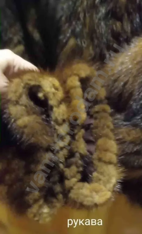 Шуба норковая с капюшоном, р. 46-50