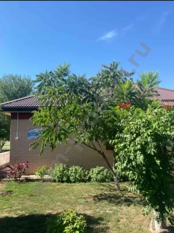 Другая коммерческая недвижимость, 100 м², Агент