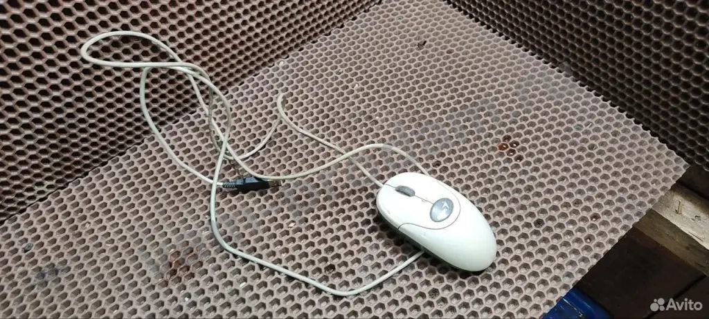 Компьютерная мышь