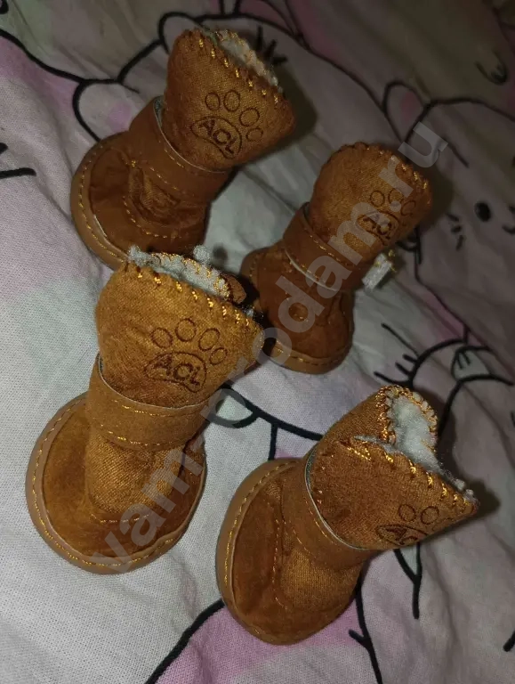 Обувь для собак