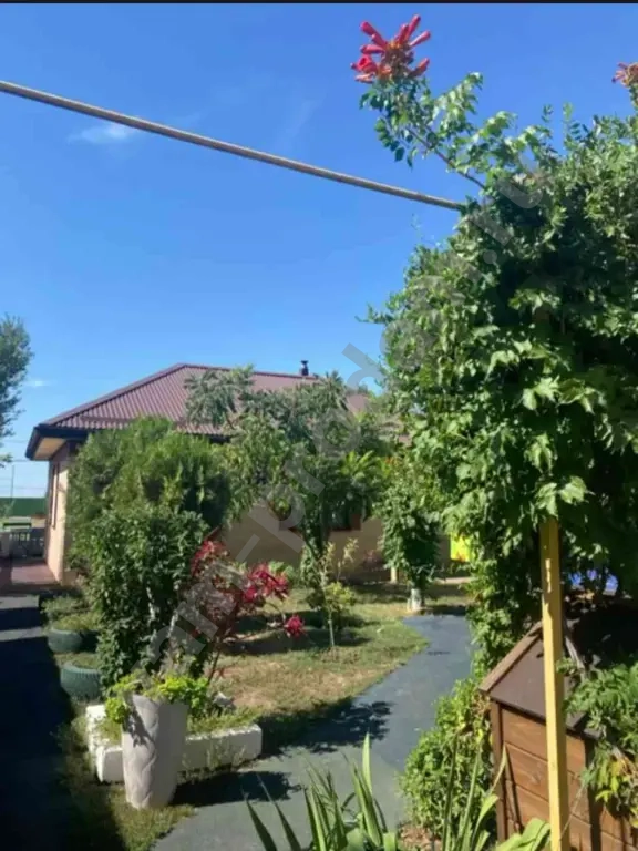 Другая коммерческая недвижимость, 100 м², Агент