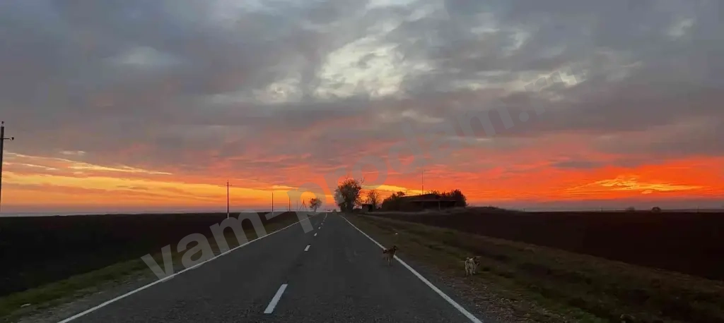 Другая коммерческая недвижимость, 272 м², Агент