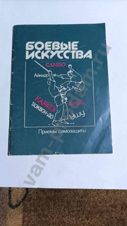 боевые искусства